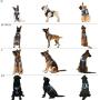 PETAGE Tactical Service Dog Harness No Pull, Reflective Military Dog Harness with Handle, Service Dog Vest with Pet Safety Belt, Adjustable Working Pet Vest Easy Control for Small Medium Large Dogs