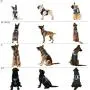 PETAGE Tactical Service Dog Harness No Pull, Reflective Military Dog Harness with Handle, Service Dog Vest with Pet Safety Belt, Adjustable Working Pet Vest Easy Control for Small Medium Large Dogs