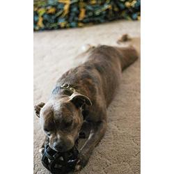 JW Pet Hol-ee Roller X Dog Chew Toy for Aggressive Chewers
