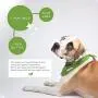 Earth Rated Dog Wipes, 100 Plant-Based and Compostable Wipes for Dogs, USDA-Certified 99 Percent Biobased, Hypoallergenic, Lavender-Scented 8x8 Deodorizing Grooming Pet Wipes for Paws, Body and Butt Earth Rated Dog Wipes, 100 Plant-Based and Compostable Wipes for Dogs, USDA-Certified 99 Percent Biobased, Hypoallergenic, Lavender-Scented 8x8 Deodorizing Grooming Pet Wipes for Paws, Body and Butt
