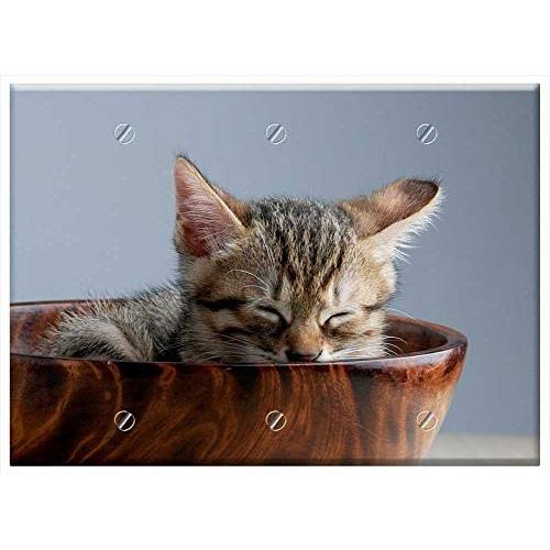 Triple Blank Wall Plate Cover - Pet Cat Sleeping Their Palate Doze Cat Bowl 2