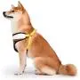 Spongebob Squarepants Dog Harness for Small Dogs Spongebob Squarepants Dog Harness for Small Dogs