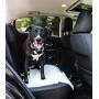 Hartz Home Protection Dog Pads for All Dog Sizes - Super Absorbent and Wont Leak: Odor Eliminating Lavender Scent, Unscented, and Quilted Plus