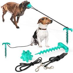 Filtries Dog Stake Tie Out Cable, Outdoor Pet Anchor Rope Leash Toy, Sturdy Training Tether for Backyard Small Medium Large Dogs