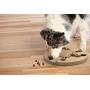 Outward Hound Nina Ottosson Interactive Puzzle Game Dog Toys