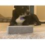 KabJab Pet Hair Remover for Laundry Furniture and Automotive Dog Hair Remover and Cat Hair Remover - Pumice Stone is The Ultimate Fur Remover Tool - Best Lint Brush Alternative