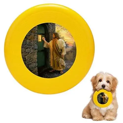 Pet Frisbee Flying Disc Dog Toy - Multifunction Let Him in Greg Olsen