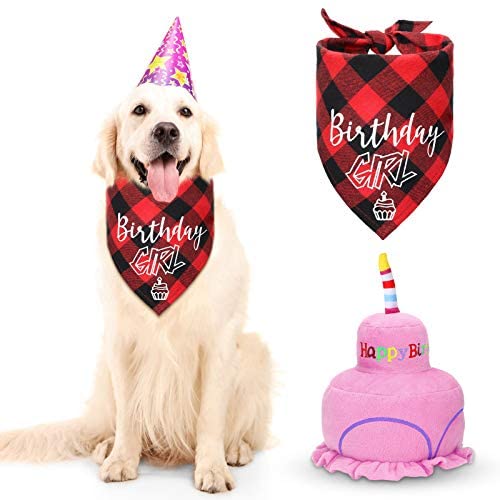 2 Pieces Birthday Girl Dog Bandana Dog Birthday Scarf and Birthday Cake Squeaky Dog Toy Birthday Party Supplies for Big Medium Large Dogs