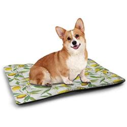 DayDayFun Nature Custom Pet Mat Detain Waterfall Guangxi Misty Jungle Forest Waterscape Scene Picture Pet Mats for Litter Boxes Fern Green Multicolor