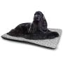 DayDayFun Grey Blue Pet Bed Kiwi Birds Indigenous New Zealand Animals Doodle Style Tropical Wildlife Comfortable Soft Pet Cushion Pale Blue and Grey