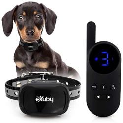 eXuby - Tiny Shock Collar for Small Dogs 5-15lbs - Smallest Collar on The Market - Sound, Vibration, & Shock - 9 Intensity Levels - Pocket-Size Remote - Long Battery Life - Water-Resistant