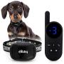 eXuby - Tiny Shock Collar for Small Dogs 5-15lbs - Smallest Collar on The Market - Sound, Vibration, & Shock - 9 Intensity Levels - Pocket-Size Remote - Long Battery Life - Water-Resistant