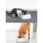 Joytale Dog Water Bowl,No Spill Pet Slow Water Feeder Dogs Bowls Dispenser,Pet Drinking Feeder Bowl for Dogs and Cats,35oz Joytale Dog Water Bowl,No Spill Pet Slow Water Feeder Dogs Bowls Dispenser,Pet Drinking Feeder Bowl for Dogs and Cats,35oz