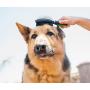 Pet Magasin Professional Grooming Brushes (Pack of 3) Double Sided Brush, Long Tooth Undercoat Dog Rake & De-Matting Comb for Dogs, Cats & Other Animals, Green & Black (DogBrushesTop)