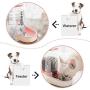 UniqueFit Pets Cats Dogs Automatic Waterer and Food Feeder 3.8 L with 1 Water Dispenser and 1 Pet Automatic Feeder