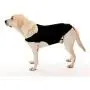 Company of Animals Anxiety Wrap, Black Company of Animals Anxiety Wrap, Black