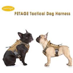 PETAGE Dog Harness and Dog Leash 6FT Heavy Duty Dog Leash with 2 Padded Handles