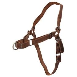 Hide & Drink, Leather No Pull Walking Dog Harness, Adjustable Straps, Pet Training Supplies, Accessories, Handmade Includes 101 Year Warranty :: Bourbon Brown