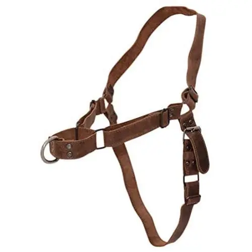 Hide & Drink, Leather No Pull Walking Dog Harness, Adjustable Straps, Pet Training Supplies, Accessories, Handmade Includes 101 Year Warranty :: Bourbon Brown Hide & Drink, Leather No Pull Walking Dog Harness, Adjustable Straps, Pet Training Supplies, Accessories, Handmade Includes 101 Year Warranty :: Bourbon Brown