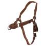 Hide & Drink, Leather No Pull Walking Dog Harness, Adjustable Straps, Pet Training Supplies, Accessories, Handmade Includes 101 Year Warranty :: Bourbon Brown