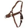Hide & Drink, Leather No Pull Walking Dog Harness, Adjustable Straps, Pet Training Supplies, Accessories, Handmade Includes 101 Year Warranty :: Bourbon Brown Hide & Drink, Leather No Pull Walking Dog Harness, Adjustable Straps, Pet Training Supplies, Accessories, Handmade Includes 101 Year Warranty :: Bourbon Brown