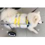 New! Two Wheels Adjustable Dog Wheelchair, cart, 7 Sizes for hind Legs Rehabilitation, 3D Soft Harness,Light Weight, Easy Assemble, Belly Band Specially for Spondylitis