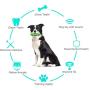 LEJGEQR Dog Chew Toys for Aggressive Chewers,Squeaky Dog Chew Toy,Dog Toothbrush Toy with Molar Bite,Dog Teeth Cleaning Toy Interactive Puppy Teething Chew Toys for Large Medium Small Dogs
