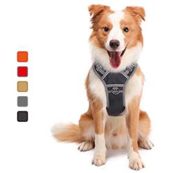 ATOPARK Dog Harness No-Pull Pet Harness Adjustable Comfortable Harness with Handle Outdoor Pet Vest Reflective Oxford Soft Breathable Vest Easy Control for Small Medium Large Dog Grey L