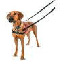The Company of Animals Pet Harness