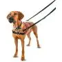 The Company of Animals Pet Harness The Company of Animals Pet Harness