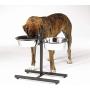 King International Super Dog Adjustment Feeding Stand U Type with 2 Bowls H-Base Double Bowl Stand Two Stainless Steel Removable Bowls