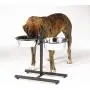King International Super Dog Adjustment Feeding Stand U Type with 2 Bowls H-Base Double Bowl Stand Two Stainless Steel Removable Bowls King International Super Dog Adjustment Feeding Stand U Type with 2 Bowls H-Base Double Bowl Stand Two Stainless Steel Removable Bowls