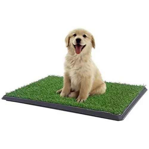Sonnyridge Easy Dog Potty Training - Made with Artificial Grass - 3 Layered System - Antimicrobial Mat, Absorbs Odors and Hinders Bacterial Growth - Great for Puppies and Small to Medium Dogs Sonnyridge Easy Dog Potty Training - Made with Artificial Grass - 3 Layered System - Antimicrobial Mat, Absorbs Odors and Hinders Bacterial Growth - Great for Puppies and Small to Medium Dogs