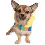 Pet Krewe Bert Costume - Sesame Street Bert Dog Costume - Fits Small, Medium, Large and Extra Large Pets - Perfect for Halloween, Parties, Photoshoots, Gifts for Dog Lovers Pet Krewe Bert Costume - Sesame Street Bert Dog Costume - Fits Small, Medium, Large and Extra Large Pets - Perfect for Halloween, Parties, Photoshoots, Gifts for Dog Lovers