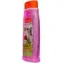 Hartz Groomers Best 3 in 1 Conditioning Shampoo for Dogs 18 oz (Pack of 3) Hartz Groomers Best 3 in 1 Conditioning Shampoo for Dogs 18 oz (Pack of 3)
