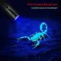 TaoTronics Black Light, 12 LEDs 395nm UV Blacklight Flashlights Detector for Pets Urine and Stains with 3 Free AAA Batteries