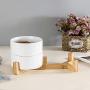 LIONWEI LIONWELI Ceramic Cat Dog Bowl Dish with Wood Stand No Spill Pet Food Water Feeder Cats Medium Dogs