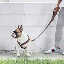 Fresh Pawz - Adjustable H-Harness, The G-Stripe, Large