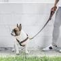 Fresh Pawz - Adjustable H-Harness, The G-Stripe, Large