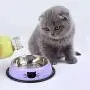 Legendog Cat Bowl Pet Bowl Stainless Steel Cat Food Water Bowl with Non-Slip Rubber Base Small Pet Bowl Cat Feeding Bowls Set of 3 Legendog Cat Bowl Pet Bowl Stainless Steel Cat Food Water Bowl with Non-Slip Rubber Base Small Pet Bowl Cat Feeding Bowls Set of 3
