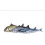 Plush Creative 3D Carp Fish Shape Cat Toy Gift Cute Simulation Fish Playing Toy for Pet Gifts Catnip Fish Stuffed Pillow Doll