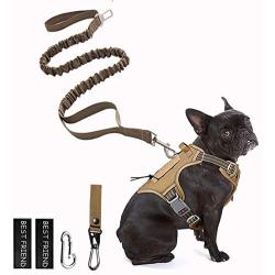 PETAGE Dog Harness and Dog Leash 6FT Heavy Duty Dog Leash with 2 Padded Handles