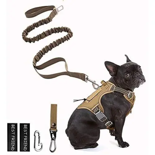 PETAGE Dog Harness and Dog Leash 6FT Heavy Duty Dog Leash with 2 Padded Handles