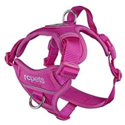 RC Pet Products Momentum Dog Harness