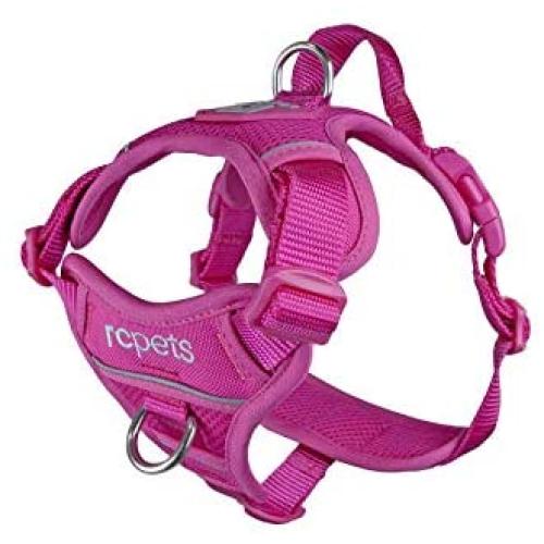 RC Pet Products Momentum Dog Harness