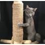 boohugger Bamboo and Jute Cat Scratching Post
