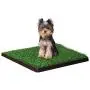 Four Paws Wee-Wee Dog Grass Patch Tray Small