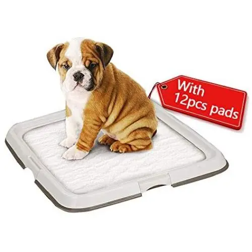 PAWISE Dog Indoor Potty Kit with 12pcs Quilted Pee Pads, Puppy Pad Floor Holder Tray, 23.6X23.6, Ready for Use