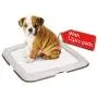 PAWISE Dog Indoor Potty Kit with 12pcs Quilted Pee Pads, Puppy Pad Floor Holder Tray, 23.6X23.6, Ready for Use