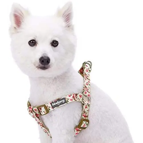 Blueberry Pet 10+ Patterns Spring Scent Inspired Floral Print/Camo Print Dog Harnesses Blueberry Pet 10+ Patterns Spring Scent Inspired Floral Print/Camo Print Dog Harnesses